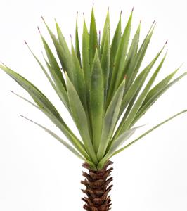 Agave - Grønn - 44 cm - www.frokenfraken.se