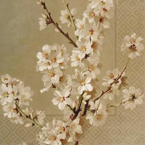 Serviett - Mandelblomst - 33 x 33 cm - www.frokenfraken.se