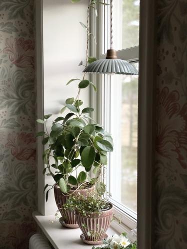 Taklampe Ingrid Grønn Stor - Ø 23,5 x 3,5 cm - www.frokenfraken.se