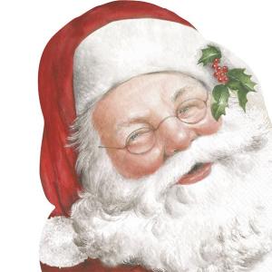 Servietter - Friendly Santa - 20 st/33 x 33 cm - www.frokenfraken.se