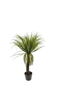 Flaskelilje - Grønn - 90 cm - www.frokenfraken.se