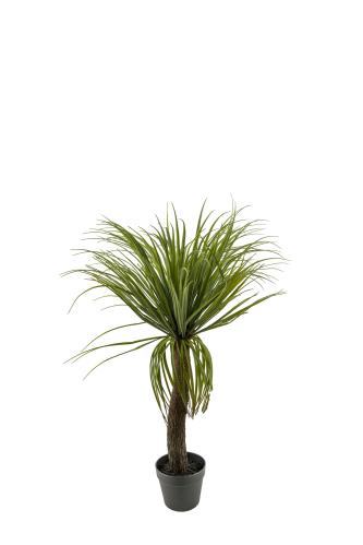 Flaskelilje - Grønn - 90 cm - www.frokenfraken.se