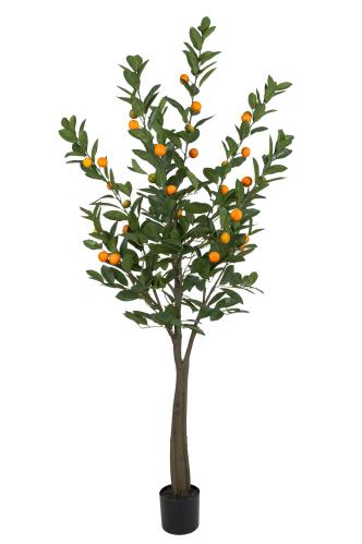 Citrus - Grønn - 180 cm - www.frokenfraken.se