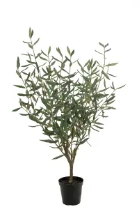 Olivtræd - Grønn - 100 cm - www.frokenfraken.se