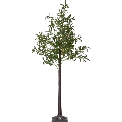 Dekorasjonstre - Oliven - Belysning - 180 cm - www.frokenfraken.se