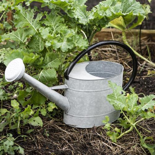 Vannkanne - Sink - 5 L - www.frokenfraken.se