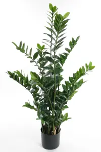 Zamifolia - Grønn - 130 cm - www.frokenfraken.se