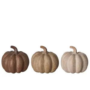 Gresskar - Brun/Beige miks - 6 stk - Dekorasjon - 6 x 7 cm - www.frokenfraken.se