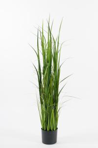 Gräs - 135 cm - www.frokenfraken.se
