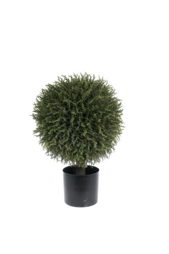 En - 55 cm - www.frokenfraken.se