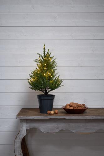Juletre med belysning - Thuja - 55 cm - www.frokenfraken.se