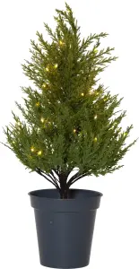 Juletre med belysning - Thuja - 55 cm - www.frokenfraken.se