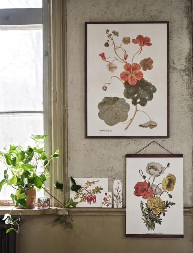 Plakat - Vintage - Nypon - 24 x 18 cm - www.frokenfraken.se
