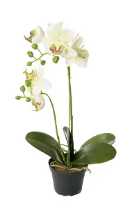 Phalaenopsis - Orkide Hvit - Kunstig Plante - 42 cm - www.frokenfraken.se