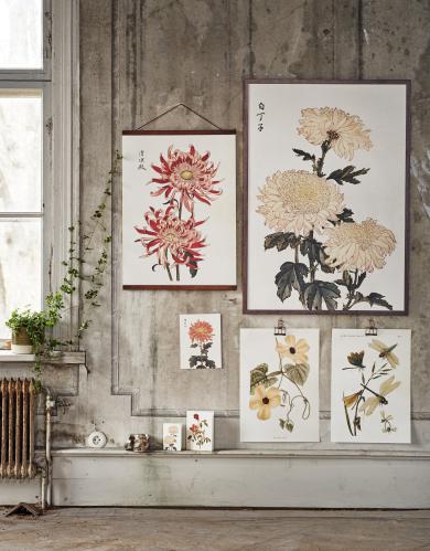 Plakat - Vintage - Sländor - 50 x 70 cm - www.frokenfraken.se