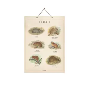 Plansje Gnager - Beige - B33 x H46 cm - www.frokenfraken.se