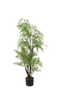 Adiantum - 110 cm - www.frokenfraken.se