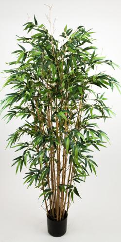 Bambu - 180 cm - www.frokenfraken.se