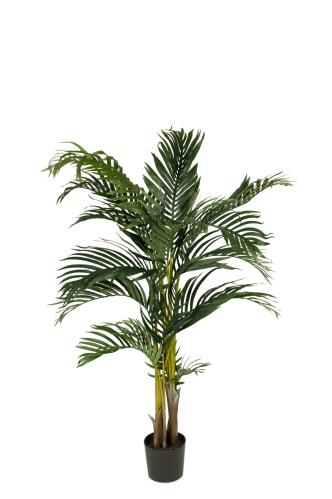 Kentia-palme - 110 cm - www.frokenfraken.se
