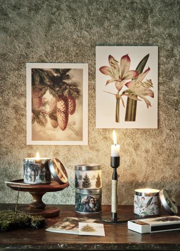 Plakat - Vintage - Amaryllis - 18 x 24 cm - www.frokenfraken.se