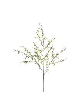 Muehlenbeckia - Grønn - 100 cm - www.frokenfraken.se