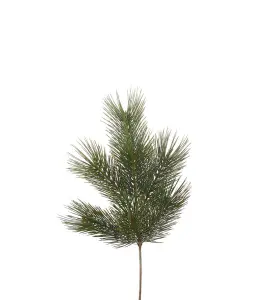 Tallkvist - Grønn - 58 cm - www.frokenfraken.se