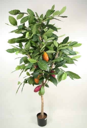 Kakaoträd - Konstväxt - 180 cm - www.frokenfraken.se