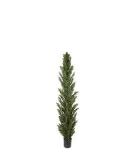 Cypress - Grønn - 90 cm - www.frokenfraken.se