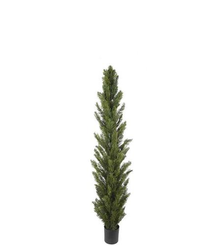 Cypress - Grønn - 120 cm - www.frokenfraken.se