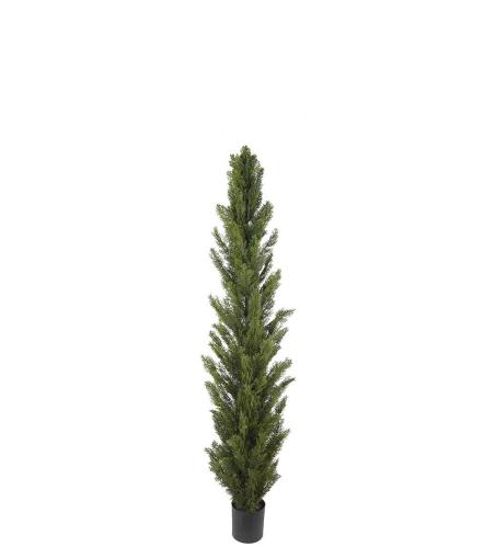 Cypress - Grønn - 120 cm - www.frokenfraken.se