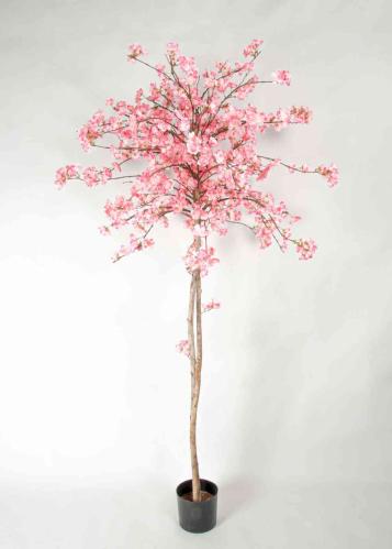 Kirsebærtre - 180 cm - Rosa - www.frokenfraken.se