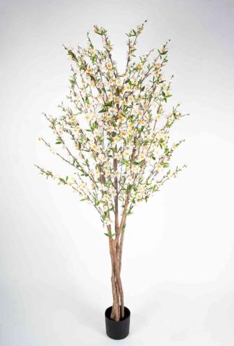 Kørsbærstræd - 180 cm - Hvit - www.frokenfraken.se