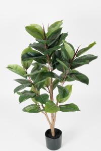 Fikus Robusta - Grønn - 90 cm - www.frokenfraken.se