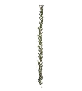 Grangirlang - Grön - 180 cm - www.frokenfraken.se