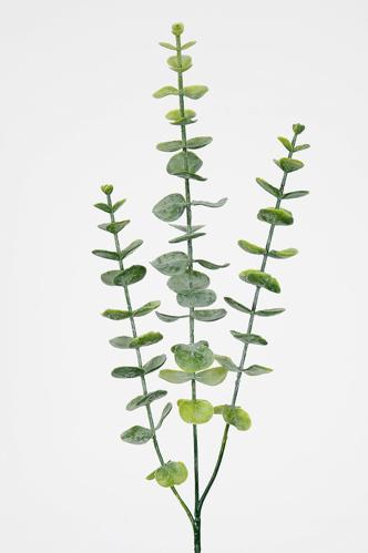 Eukalyptus - Grønn - 60 cm - www.frokenfraken.se