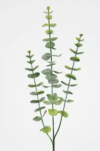 Eukalyptus - Grønn - 60 cm - www.frokenfraken.se