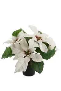 Julstjerne - Hvit - 23 cm - www.frokenfraken.se