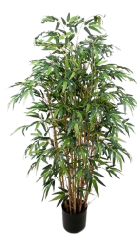 Bambu - 120 cm - www.frokenfraken.se