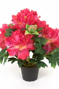 Pion - Rød - 35 cm - www.frokenfraken.se