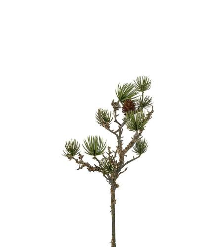 Lerk med kongler - Grønn - 55 cm - www.frokenfraken.se