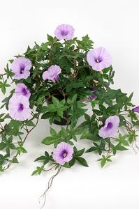 Blomst for dagen - Lilla - 45 cm - www.frokenfraken.se
