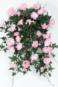 Blomst for dagen - Rosa - www.frokenfraken.se