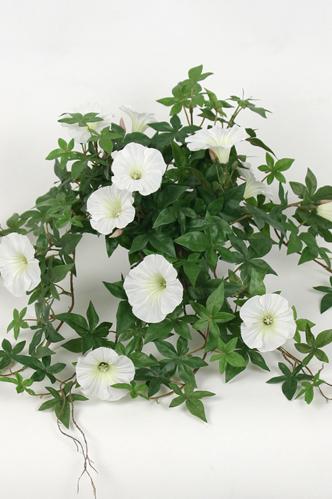 Blomst for dagen - Hvit - 45 cm - www.frokenfraken.se