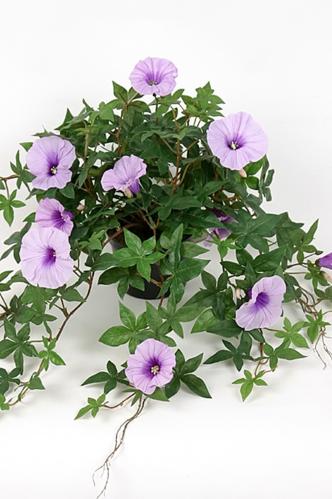 Blomst for dagen - Lilla - 45 cm - www.frokenfraken.se