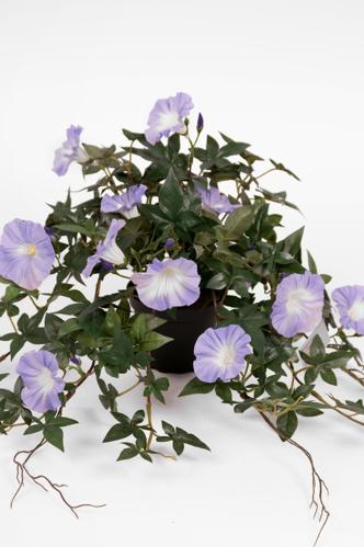 Blomst for dagen - Blå - 45 cm - www.frokenfraken.se