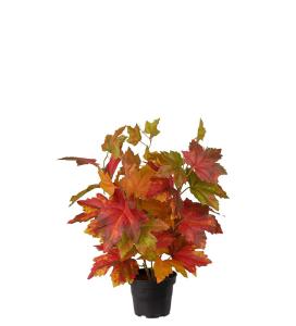 Lønn - Høstløv i krukke - Oransje - 35 cm - www.frokenfraken.se