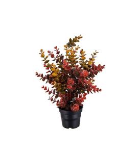 Eukalyptus - Flerfarget - 40 cm - www.frokenfraken.se