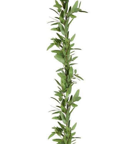 Eukalyptus girlang - Grønn - 160 cm - www.frokenfraken.se
