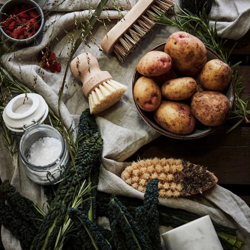 Skålborste - Tre med vegetabilisk fiber - www.frokenfraken.se
