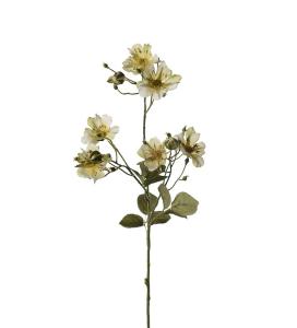 Japansk klatrerose - Grønn - 35 cm - www.frokenfraken.se